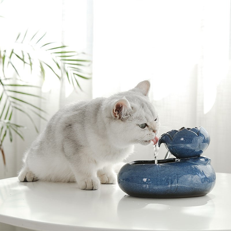 Why Every Cat Owner Needs the Cat Feeder Water Feeder